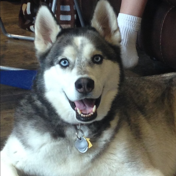 Meet your Posher, Kathleen - Picture 10 of 11